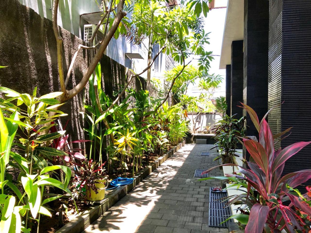 Guest House Kupukupu39 Kuta Lombok Exterior foto